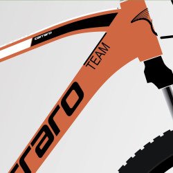 CARRARO DAYTONA 918 29" 18-V HD 400 H