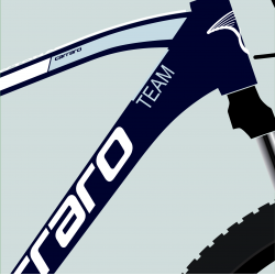 CARRARO DAYTONA 920 29" 20-V HD 520H