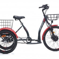 CARRARO EPACK 2.1