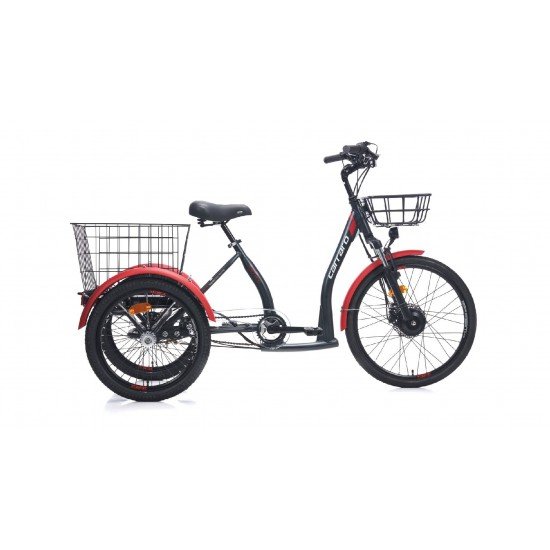 CARRARO EPACK 2.1 CARRARO EPACK 2.1